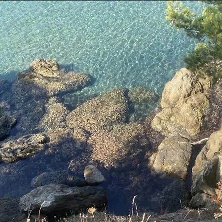 Hye680-a26 T3 Rez De Jardin 4 Personnes Ιέρ